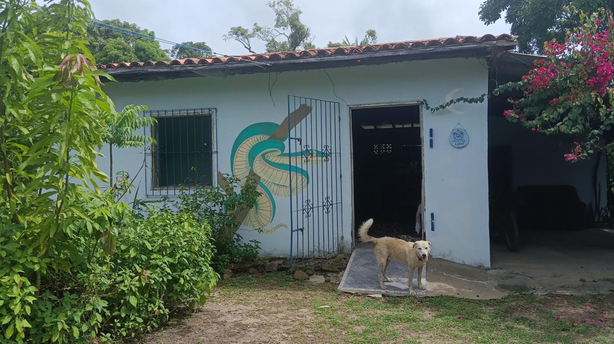 Eco Hostel Lunar Soure Exterior foto